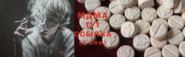ГАЛЛЮЦИНОГЕННЫЕ ГРИБЫ Богданович
