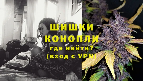 ГАЛЛЮЦИНОГЕННЫЕ ГРИБЫ Богданович