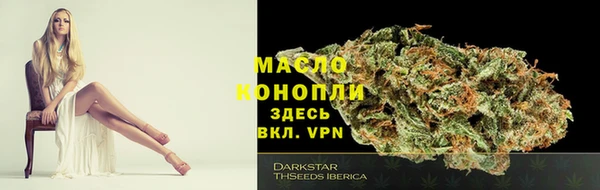 ГАЛЛЮЦИНОГЕННЫЕ ГРИБЫ Богданович