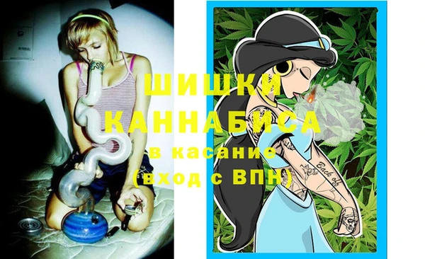 ГАЛЛЮЦИНОГЕННЫЕ ГРИБЫ Богданович