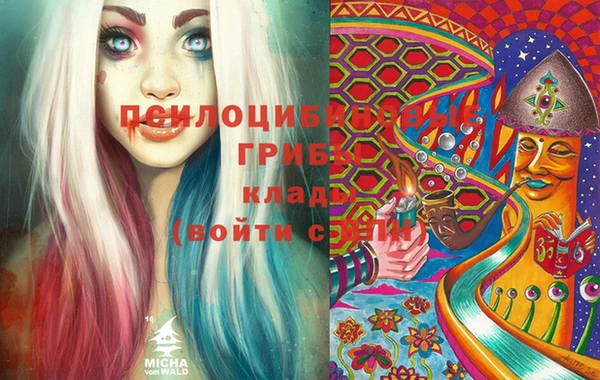 ГАЛЛЮЦИНОГЕННЫЕ ГРИБЫ Богданович
