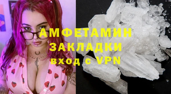 ГАЛЛЮЦИНОГЕННЫЕ ГРИБЫ Богданович