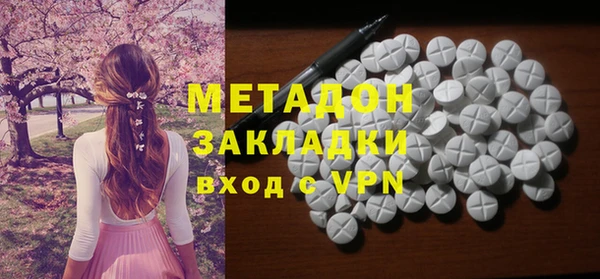 ГАЛЛЮЦИНОГЕННЫЕ ГРИБЫ Богданович