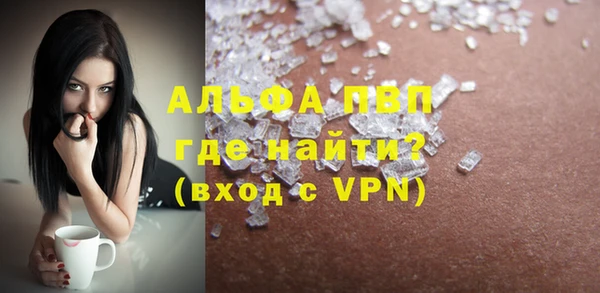 ГАЛЛЮЦИНОГЕННЫЕ ГРИБЫ Богданович