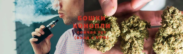 амф Богородск